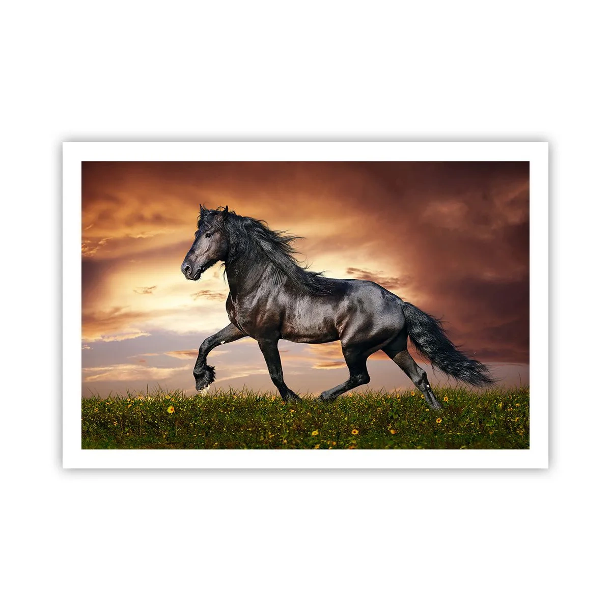 Pôster - O Príncipe Negro - 91x61 cm