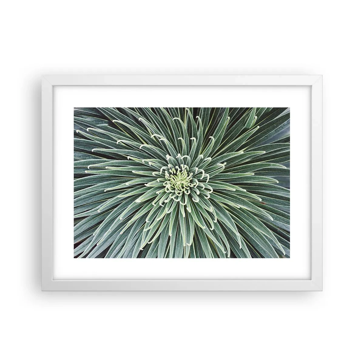 Pôster em moldura branca - Nasce uma estrela - 40x30 cm