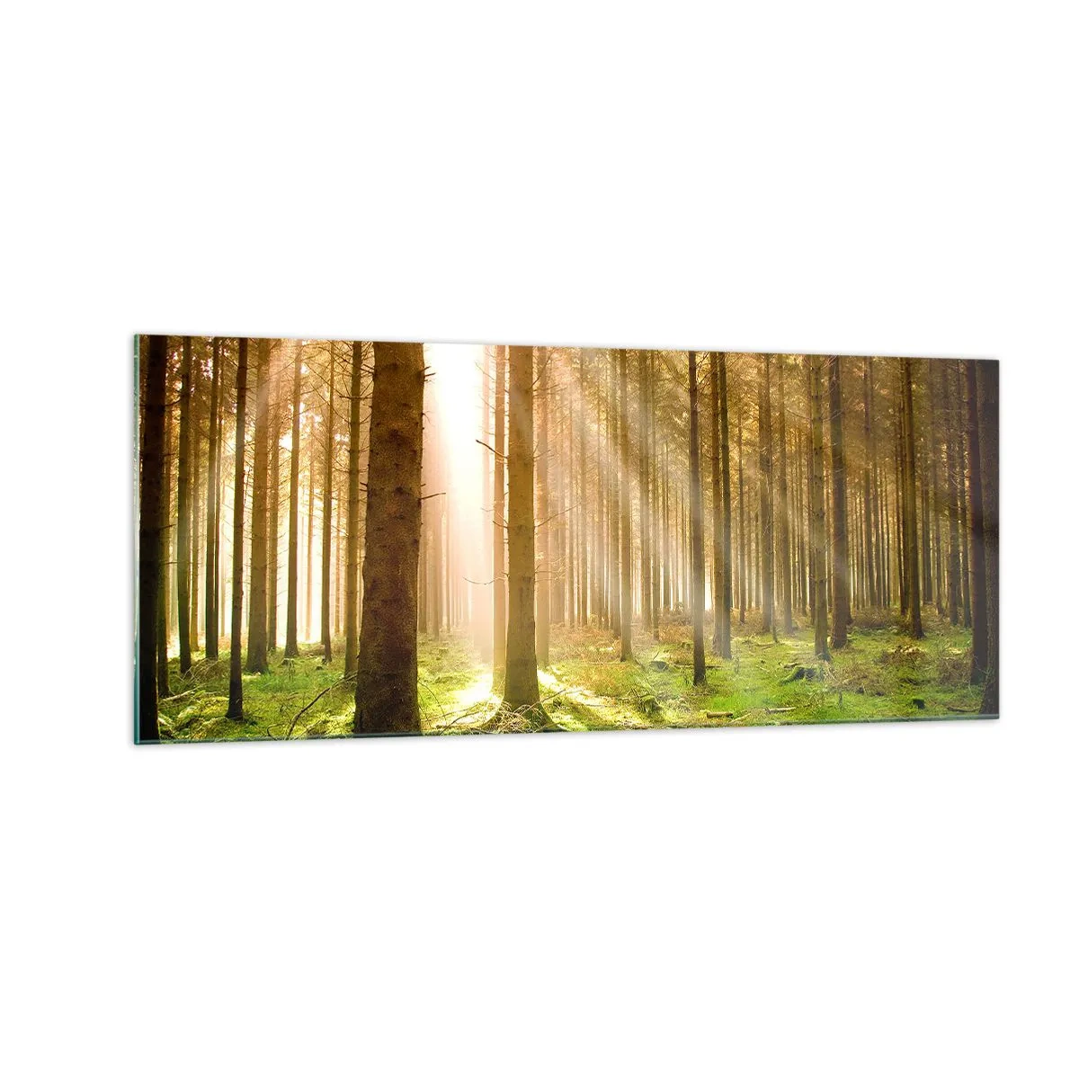 Quadro em vidro - Os elfos estão prestes a aparecer - 100x40 cm