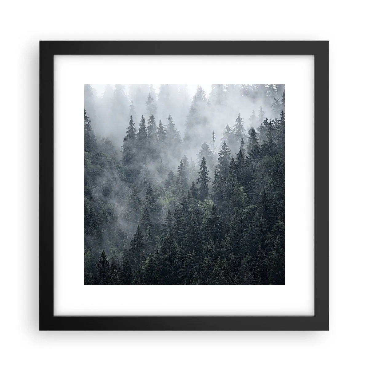 Pôster com moldura preta - O amanhecer da floresta - 30x30 cm