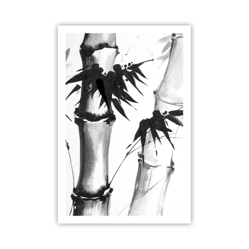 Pôster - Foco no Oriente - 61x91 cm