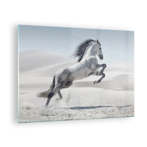 Quadro em vidro - Um cavalo branco saltando contra o cenário de dunas do deserto - 70x50cm - Príncipe árabe - Decoração de parede moderna para a sala de estar e quarto ARTTOR
