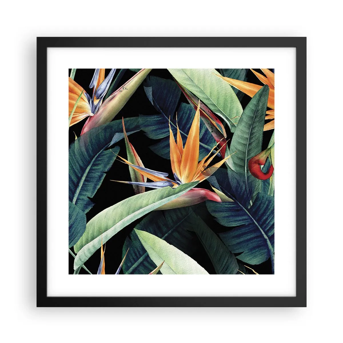 Pôster com moldura preta - Flores ardentes dos trópicos - 40x40 cm