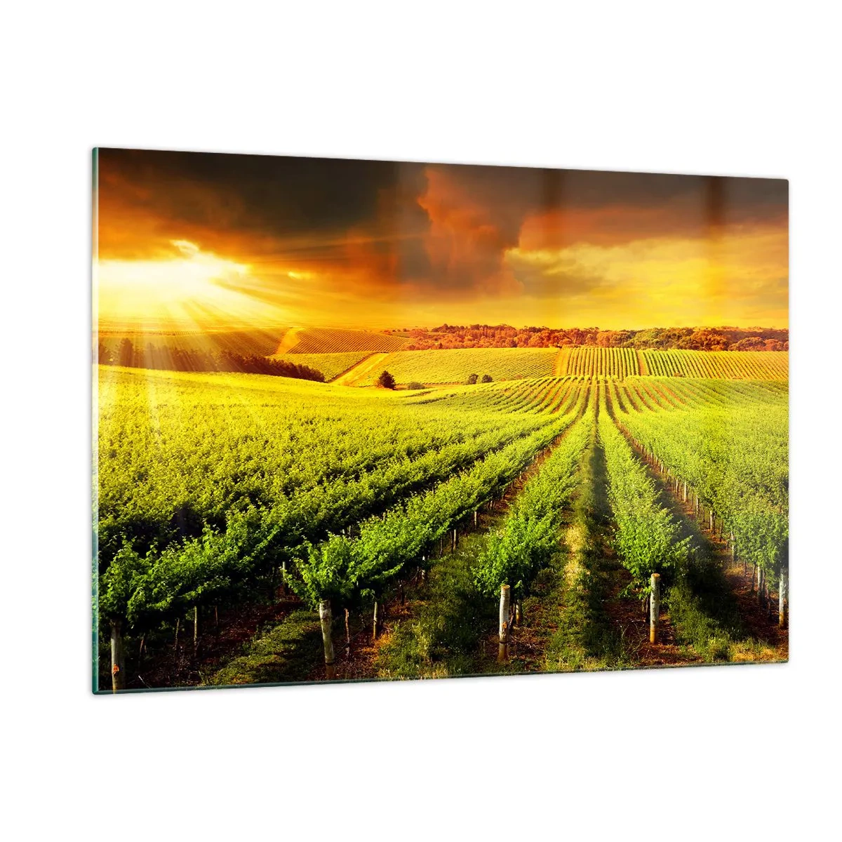 Quadro em vidro - Sob o sol australiano - 120x80 cm