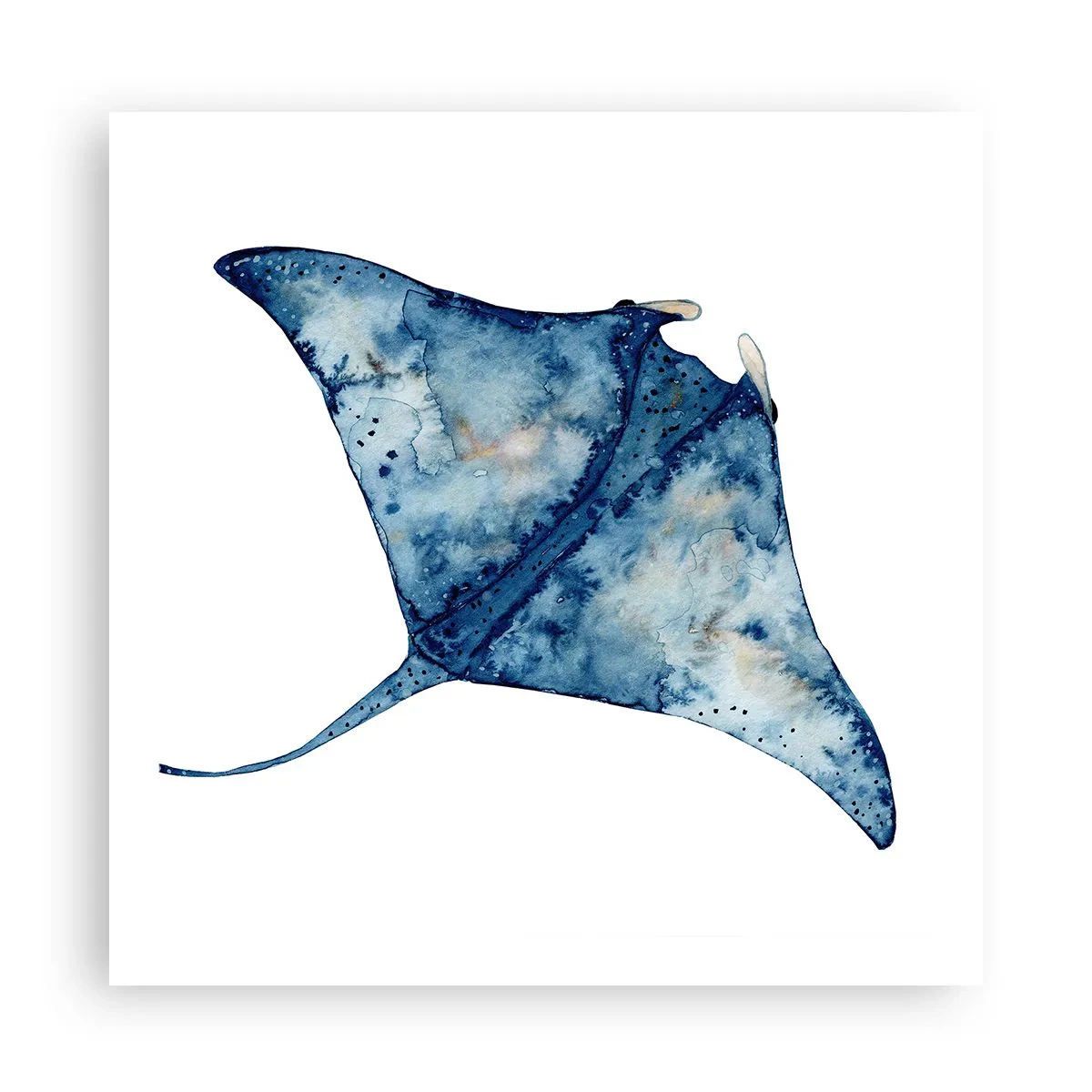 Pôster - A vida em azul - 60x60 cm