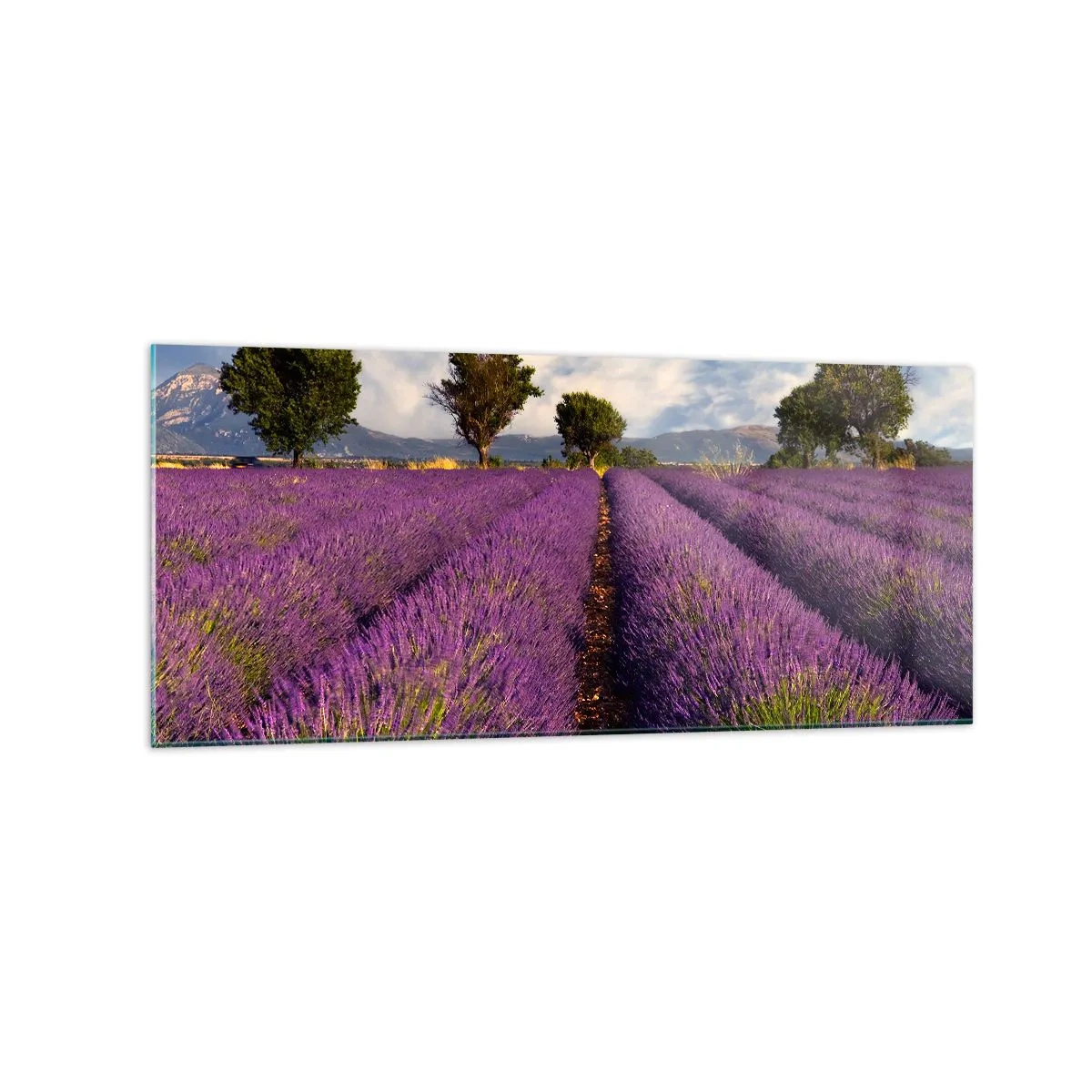 Quadro em vidro - Prados de lavanda - 120x50 cm