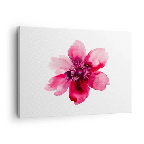 Quadro em tela - Flor rosa em estilo aquarela sobre fundo branco - 70x50cm - Beijo carmim perfumado - Decoração de parede moderna para a sala de estar e quarto ARTTOR