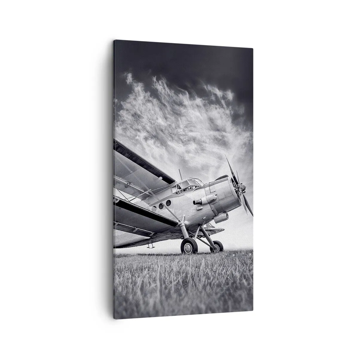 Quadro em tela - Andarilho alado - 45x80 cm