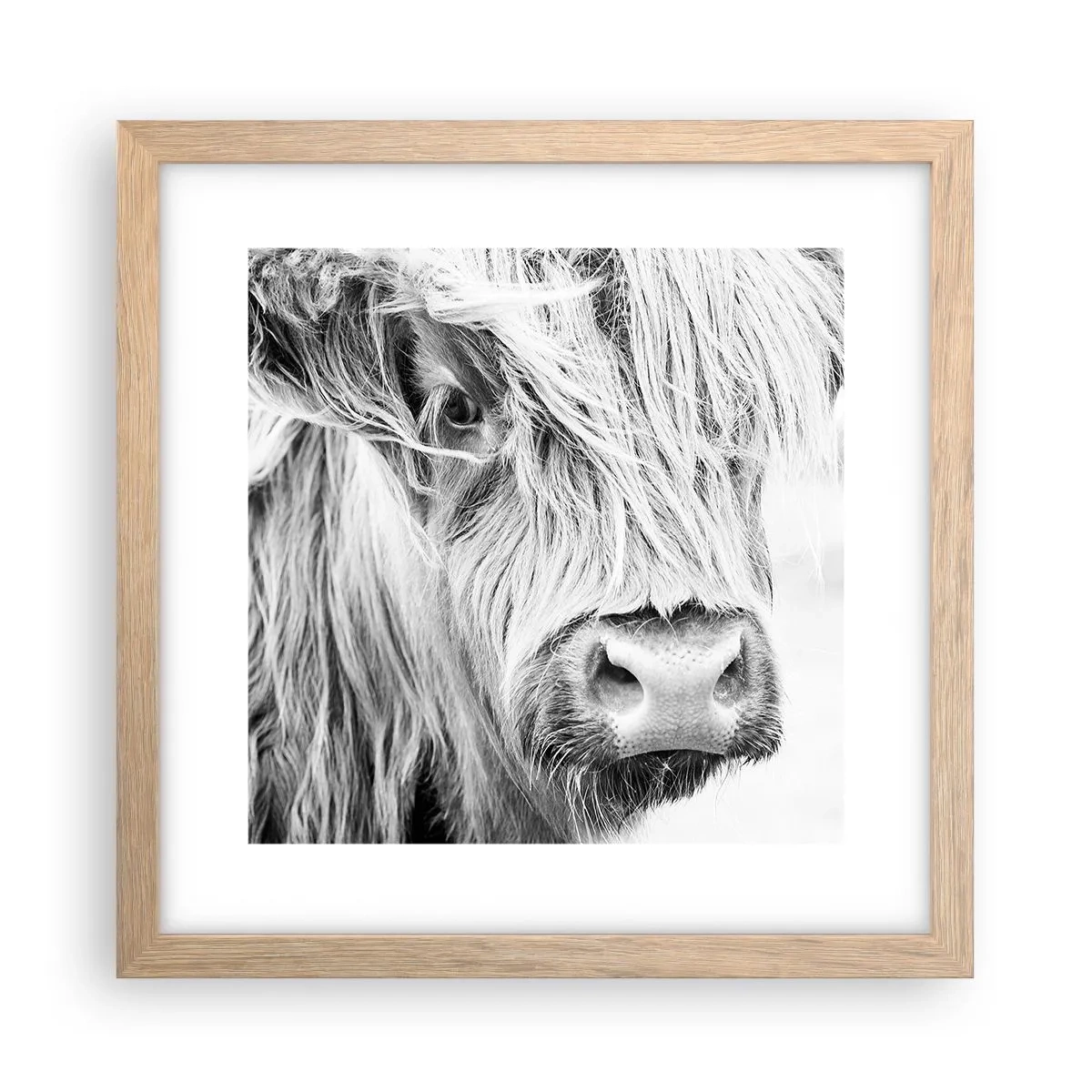 Pôster com moldura de carvalho claro - Natureza selvagem escocesa - 30x30 cm