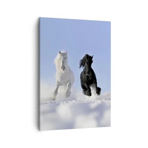 Quadro em tela - Galope preto e branco - 50x70 cm