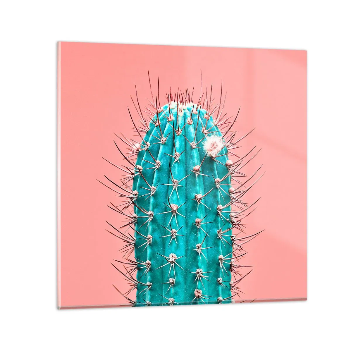 Quadro em vidro - Apenas olhe - 40x40 cm