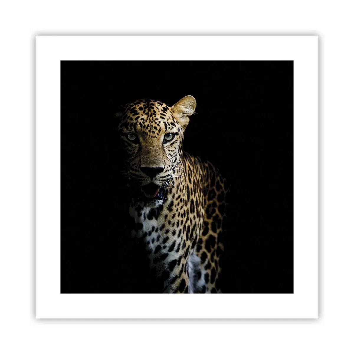 Pôster - Beleza escura - 40x40 cm