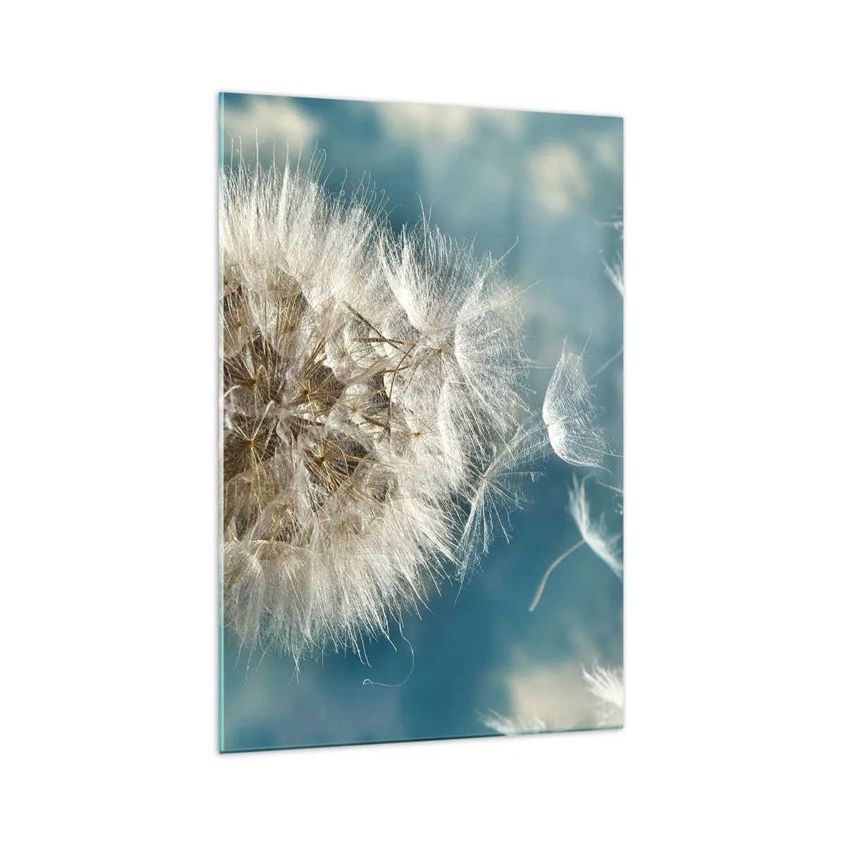 Quadro em vidro - Respiração de um anjo - 70x100 cm