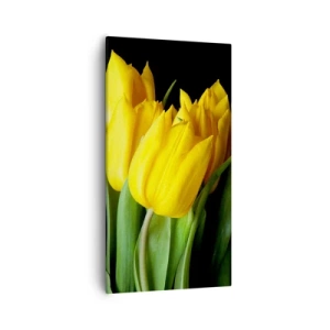 Quadro em tela - Feitas a partir do sol - 55x100 cm