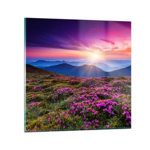 Quadro em vidro - Campo cheiroso - 70x70 cm