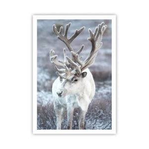 Pôster - Retrato ao sol - 70x100 cm