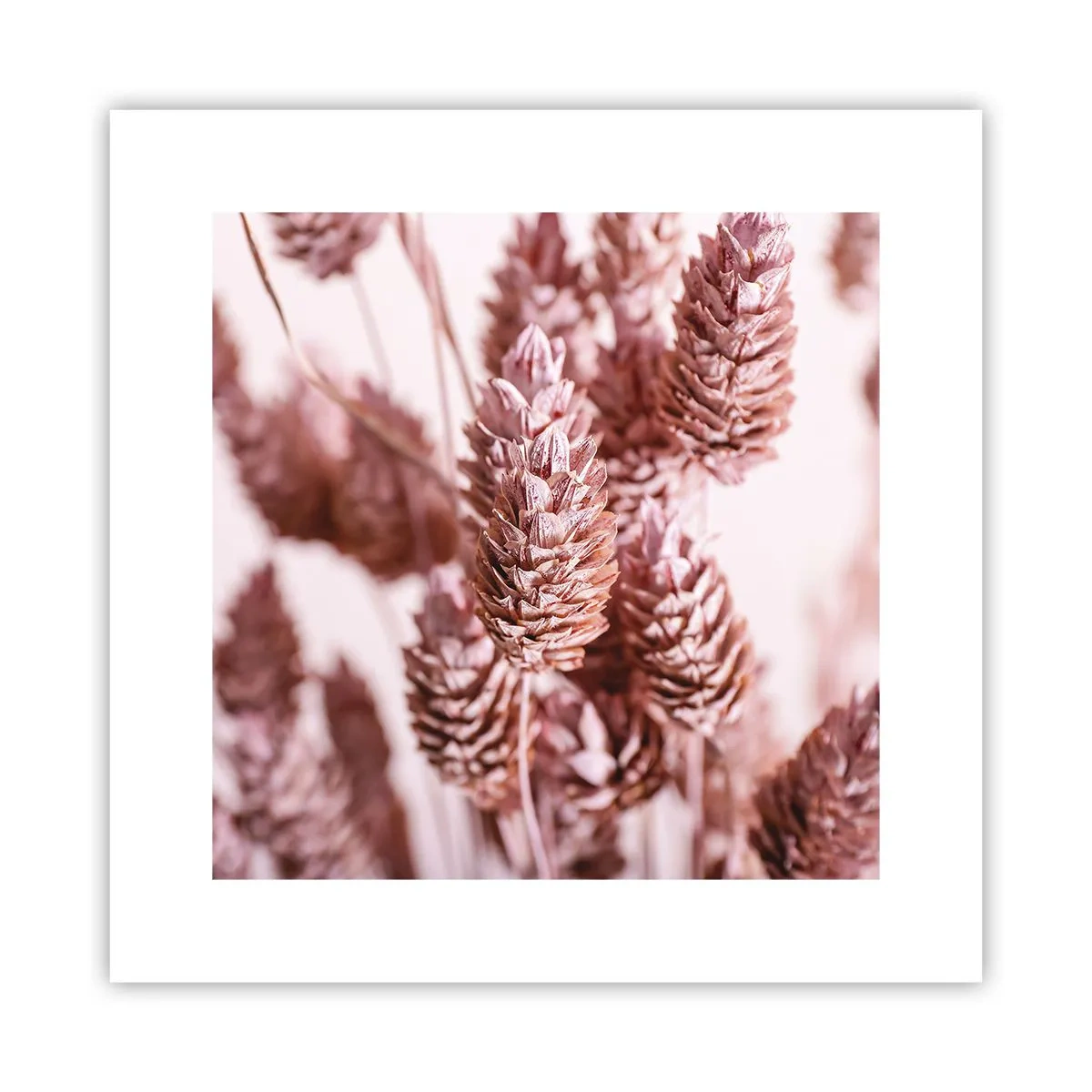 Pôster - Aparentemente discreto - 30x30 cm