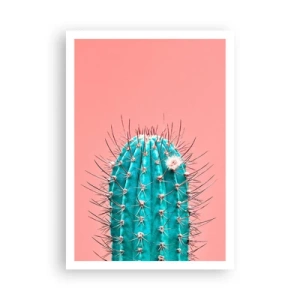 Pôster - Apenas olhe - 70x100 cm