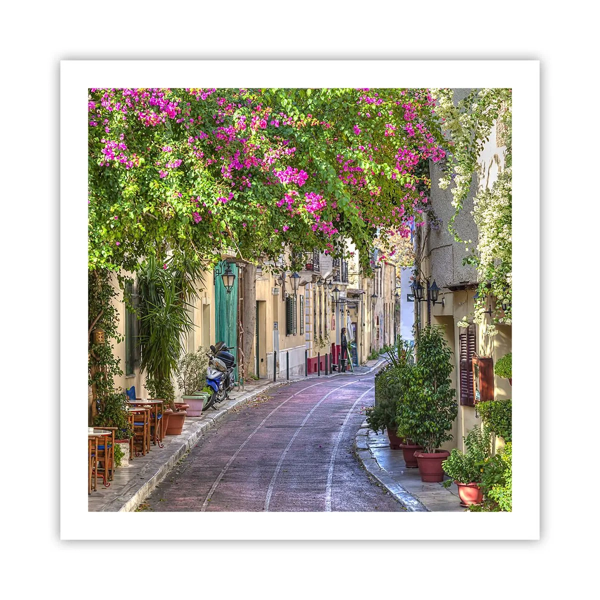 Pôster - Beco florido - 60x60 cm