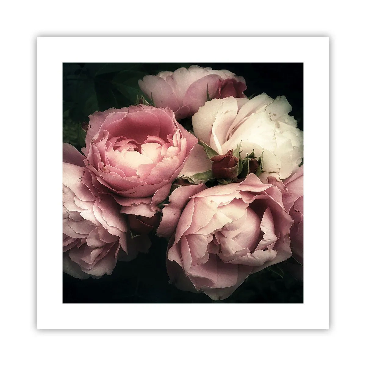 Pôster - O encanto da belle epoque - 40x40 cm