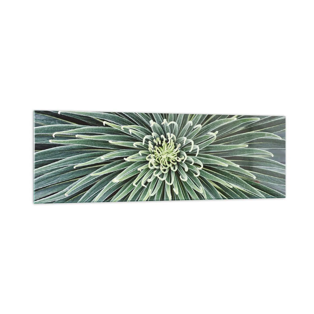 Quadro em vidro - Nasce uma estrela - 160x50 cm