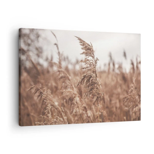 Quadro em tela - Gramíneas douradas contra o pano de fundo da paisagem de outono - 70x50cm - O outono já chegou ao campo - Decoração de parede moderna para a sala de estar e quarto ARTTOR