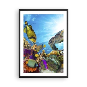 Pôster com moldura preta - Vida marinha colorida com peixes e tartarugas em águas tropicais - 50x70cm - Alameda dos corais - Decoração de parede moderna para a sala de estar e quarto ARTTOR
