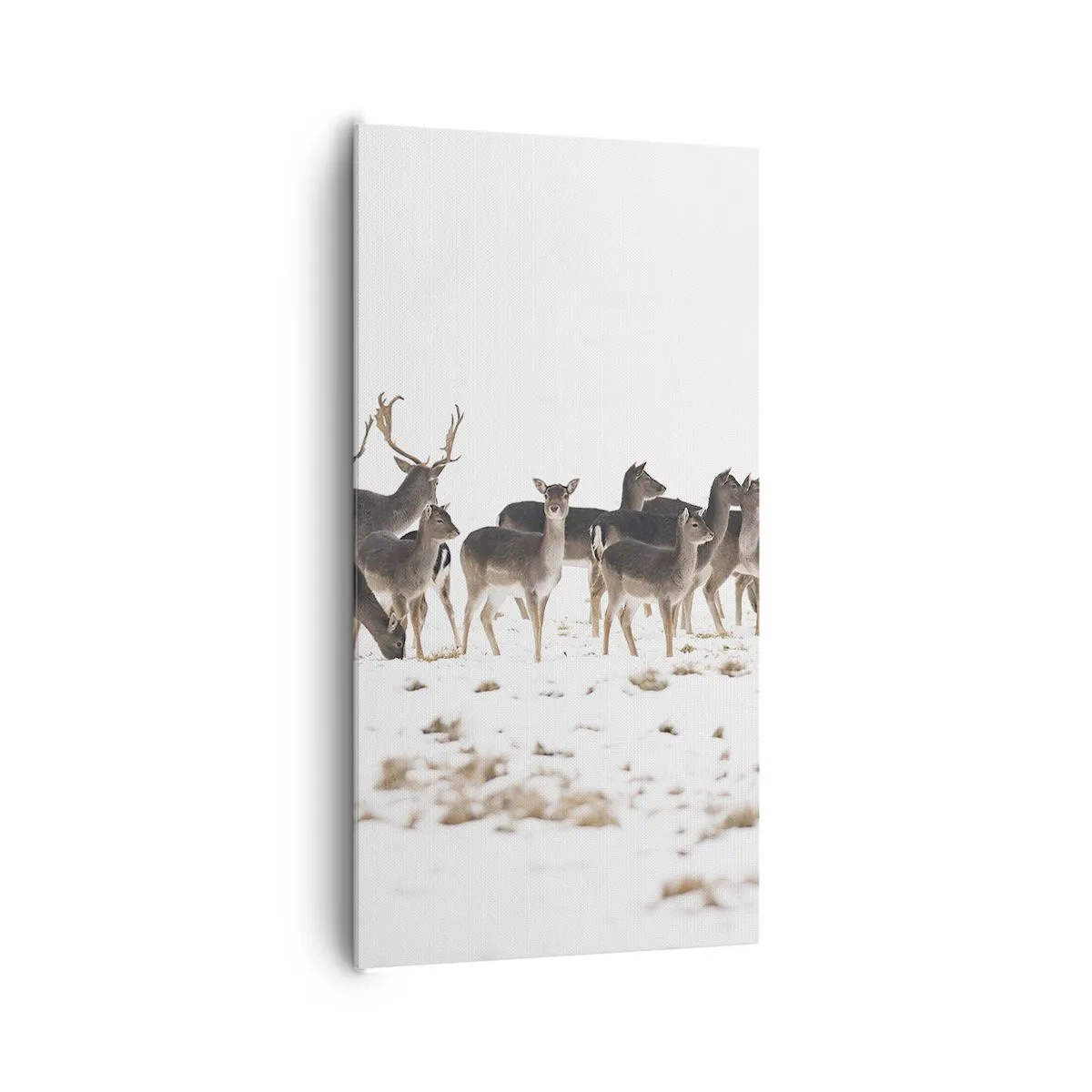 Quadro em tela - O Natal se aproxima? - 65x120 cm