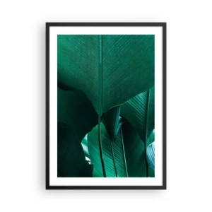 Pôster com moldura preta - Close-up de grandes folhas verdes mostrando estrutura e textura. - 50x70cm - De frente para a luz - Decoração de parede moderna para a sala de estar e quarto ARTTOR