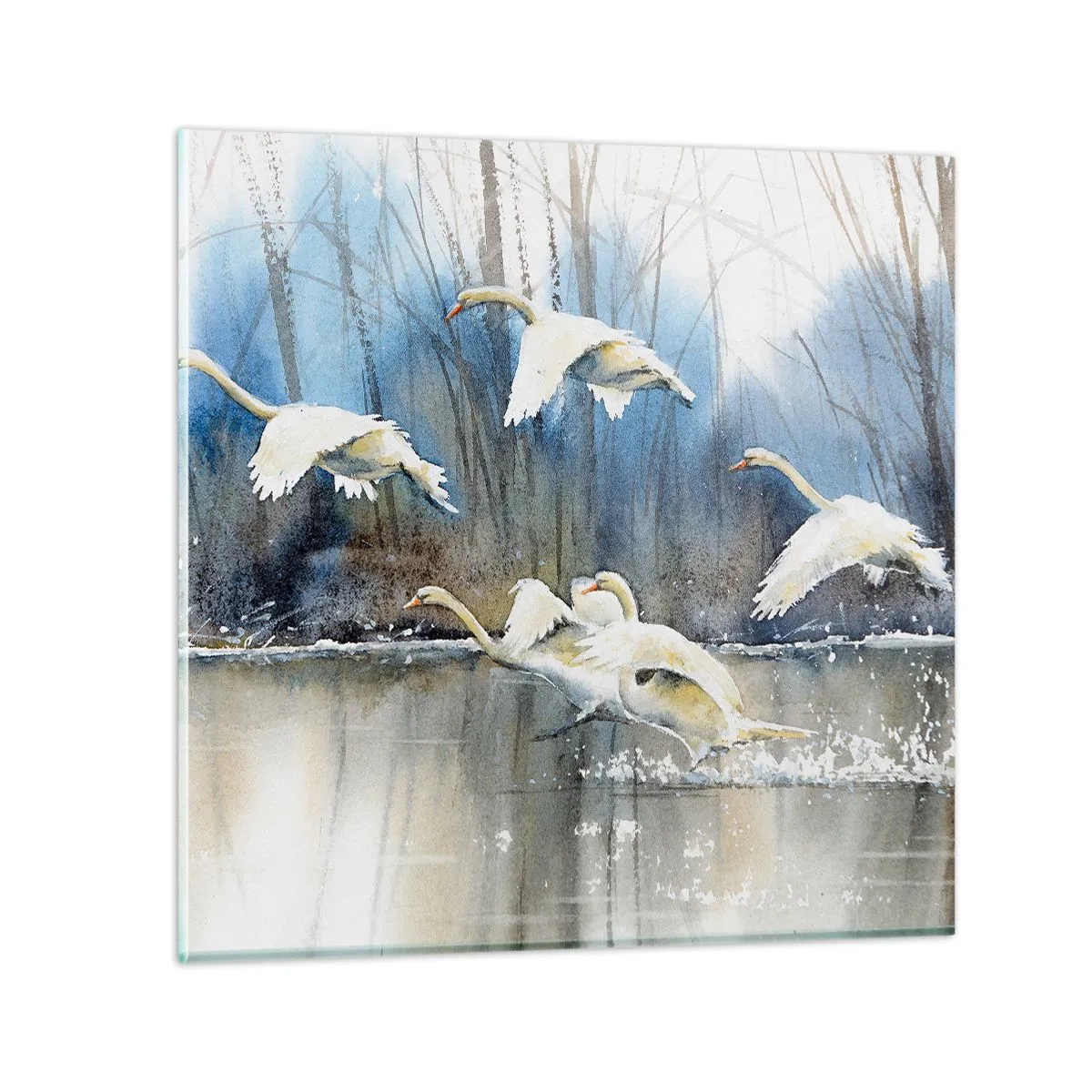 Quadro em vidro - Como no conto de fadas sobre cisnes selvagens - 50x50 cm