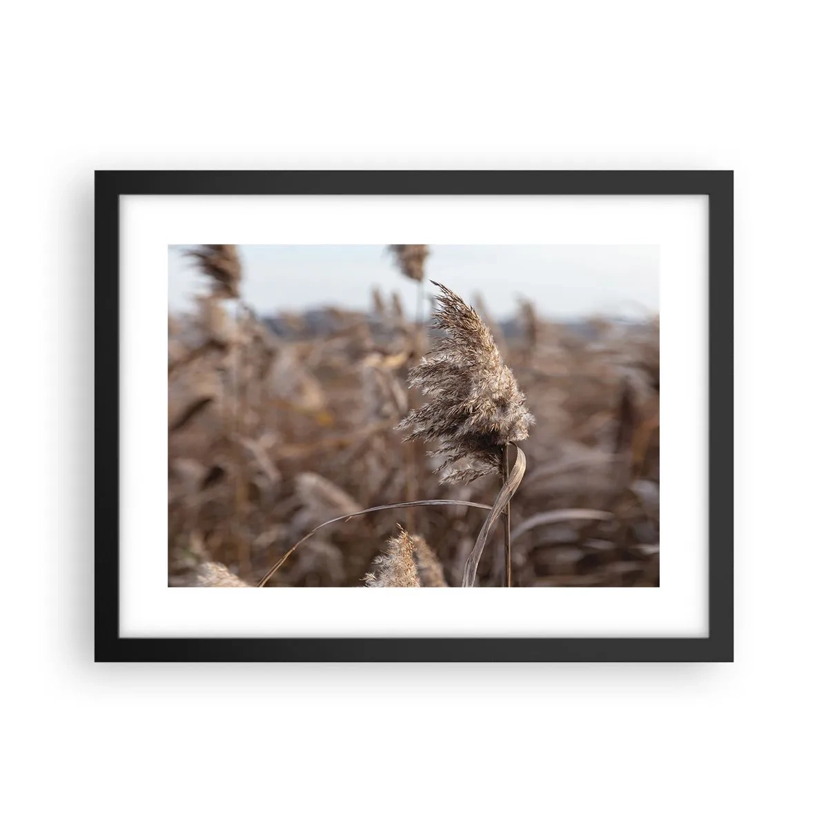 Pôster com moldura preta - É hora de voar com o vento - 40x30 cm