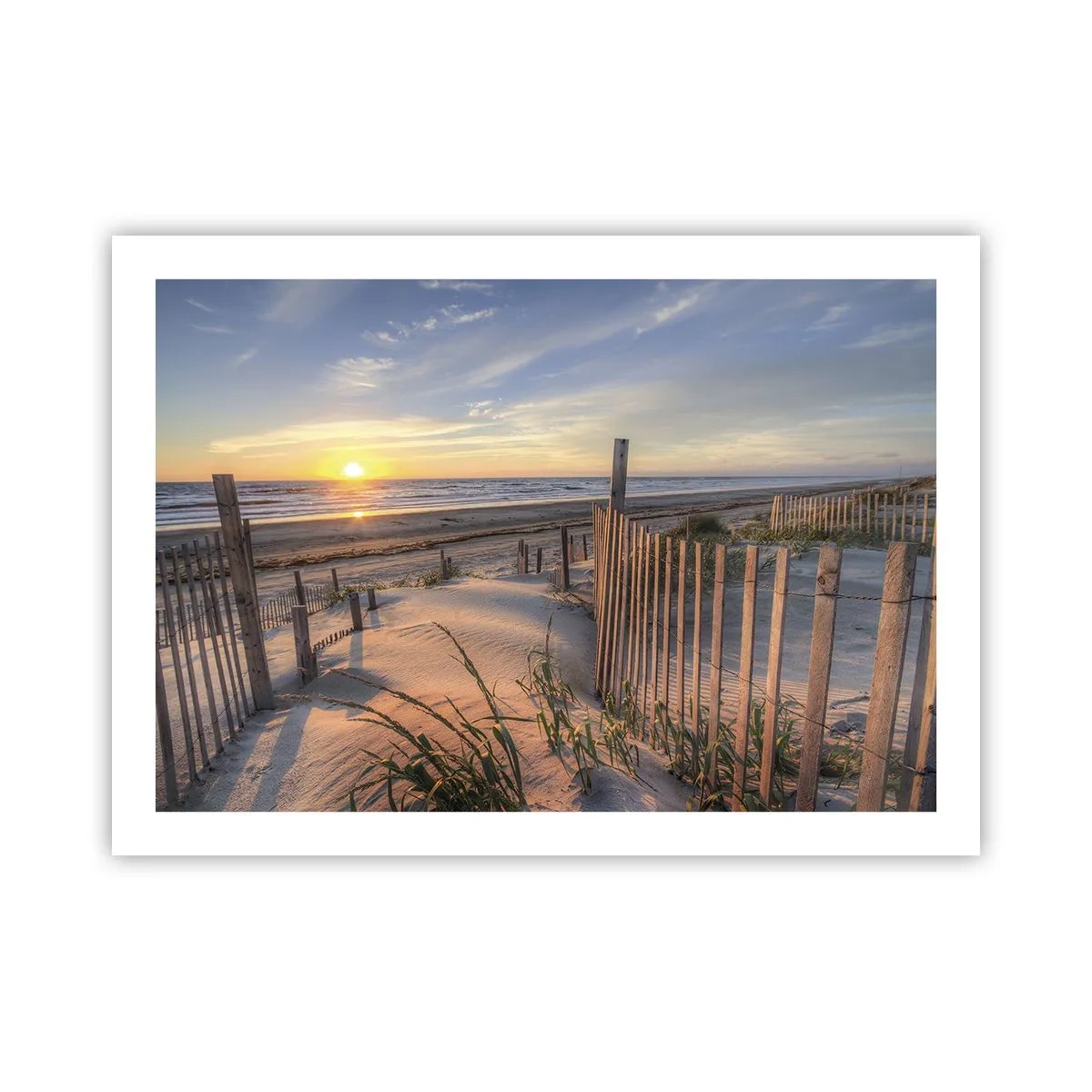 Pôster - Brilho e sombra do vento - 70x50 cm