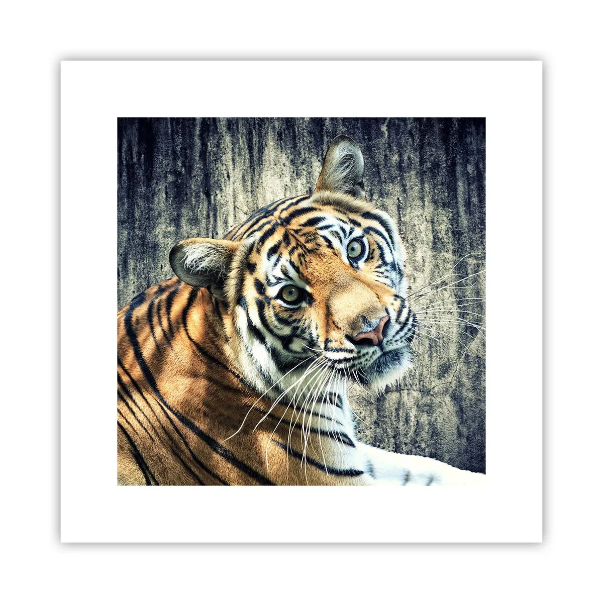 Pôster - Retrato em feixes de luz - 30x30 cm