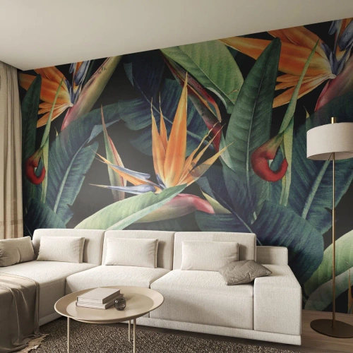 Papel de parede personalizado Adesivo Deluxe Sticker - Flores ardentes dos trópicos - Strelitzia real, Flor, África