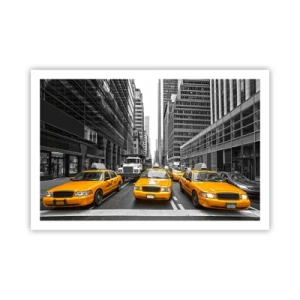 Pôster - Somos a cor da cidade - 91x61 cm