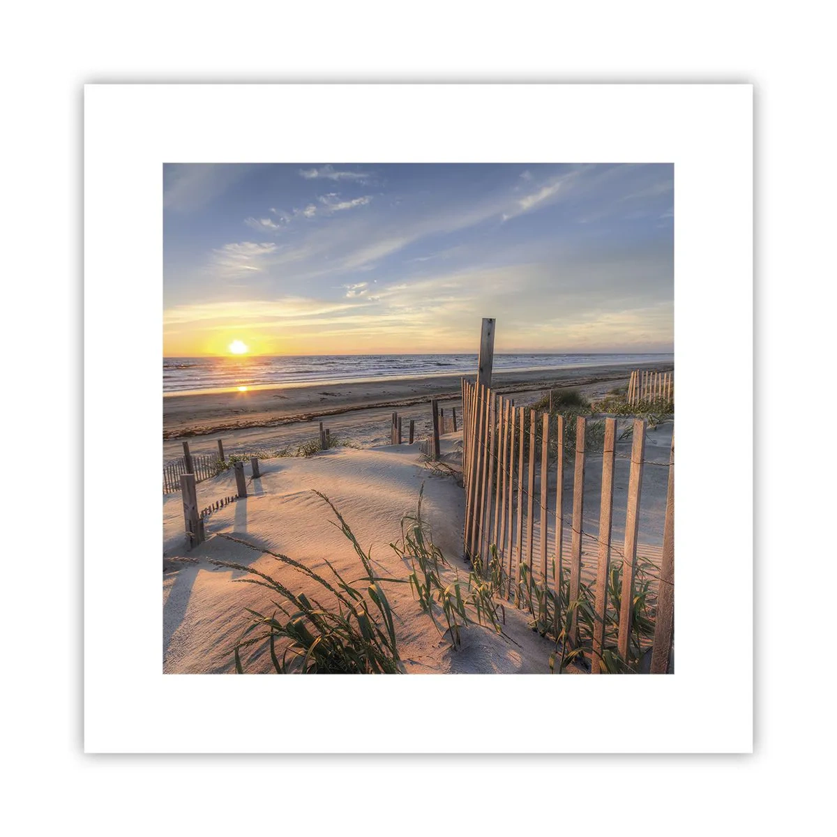 Pôster - Brilho e sombra do vento - 30x30 cm