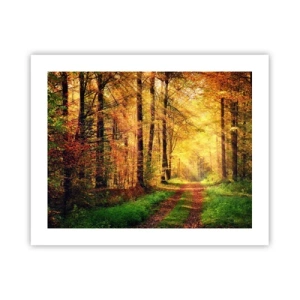 Pôster - Silêncio dourado da floresta - 50x40 cm