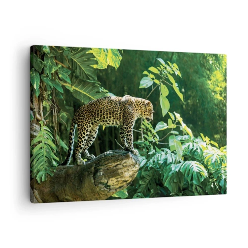 Quadro em tela - Um leopardo em pé sobre uma rocha cercada por vegetação tropical - 70x50cm - Vamos caçar? - Decoração de parede moderna para a sala de estar e quarto ARTTOR