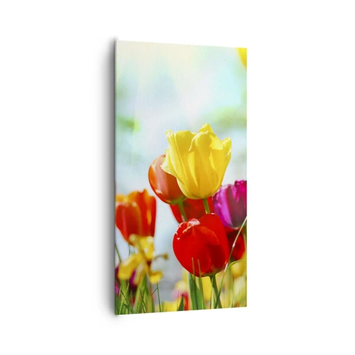 Quadro em tela - Todas as cores do sol - 65x120 cm