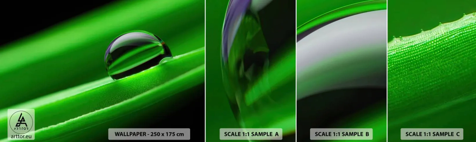 Amostra de Papel de Parede Standard Eco - A vida de perto - Abstração, Gráficos, Uma gota d'água - 100x30 cm