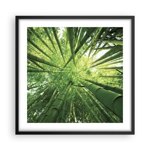 Pôster com moldura preta - Em um bosque de bambu - 50x50 cm