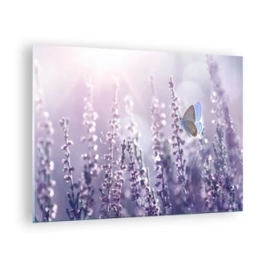 Quadro em vidro - Uma borboleta em um campo de lavanda ao sol - 70x50cm - O beijo da borboleta - Decoração de parede moderna para a sala de estar e quarto ARTTOR