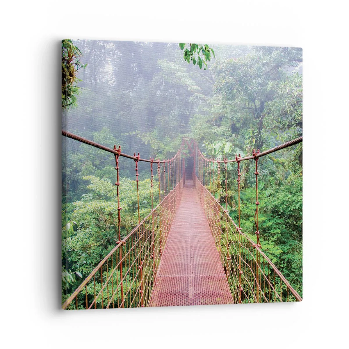 Quadro em tela - Suspenso acima das copas - 30x30 cm