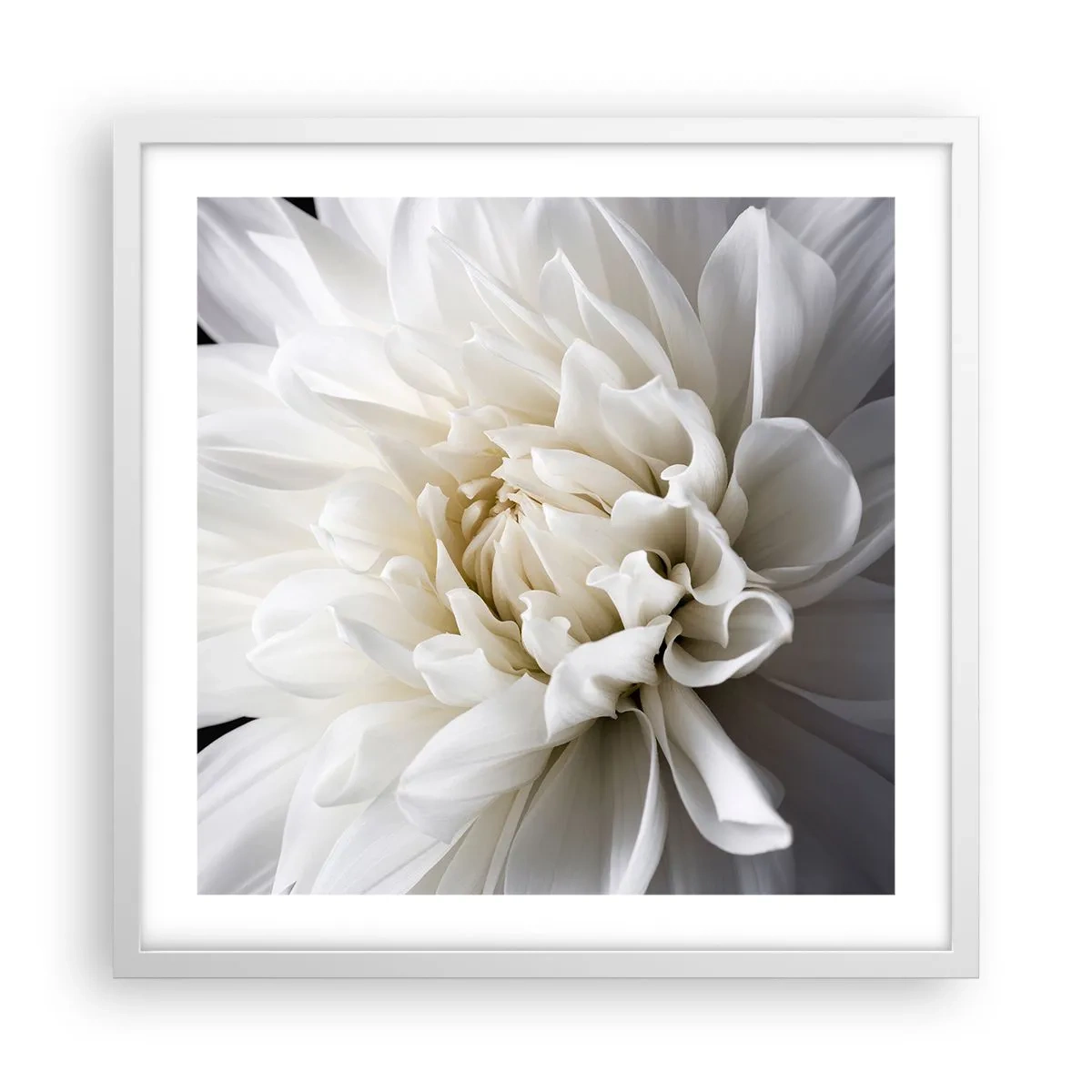 Pôster em moldura branca - Manhã da noiva - 50x50 cm