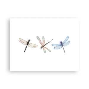 Pôster - Libélulas sem peso - 40x30 cm