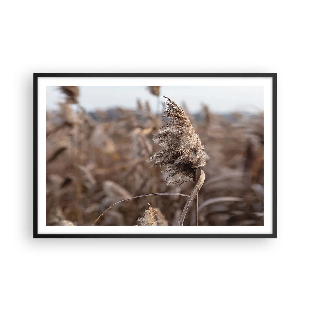 Pôster com moldura preta - É hora de voar com o vento - 91x61 cm