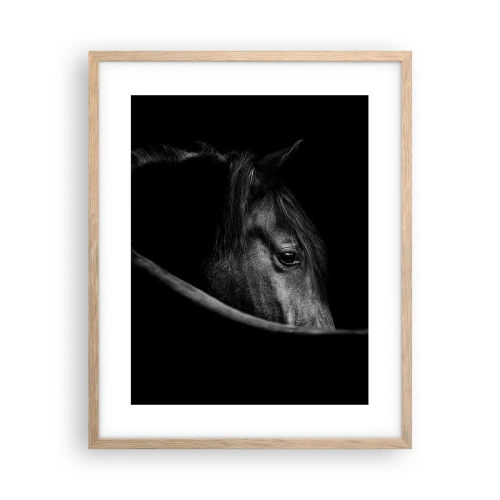 Pôster com moldura de carvalho claro - Príncipe Negro - 40x50 cm