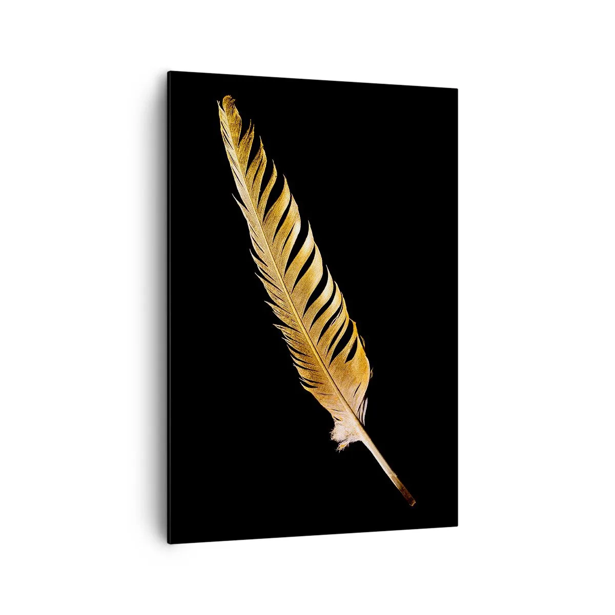 Quadro em tela - É uma pena - 70x100 cm