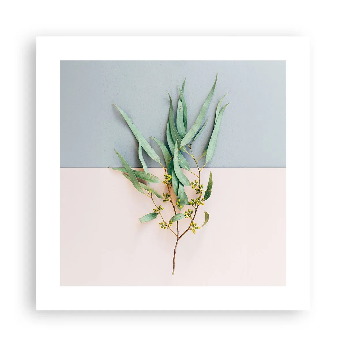 Pôster - Sutileza pastel - 40x40 cm