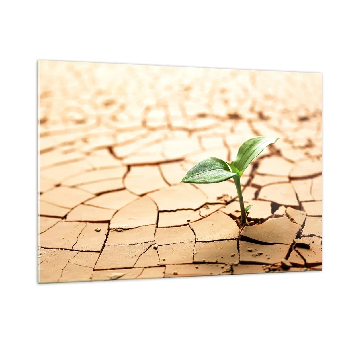 Quadro em vidro - A força indomável da vida - 120x80 cm